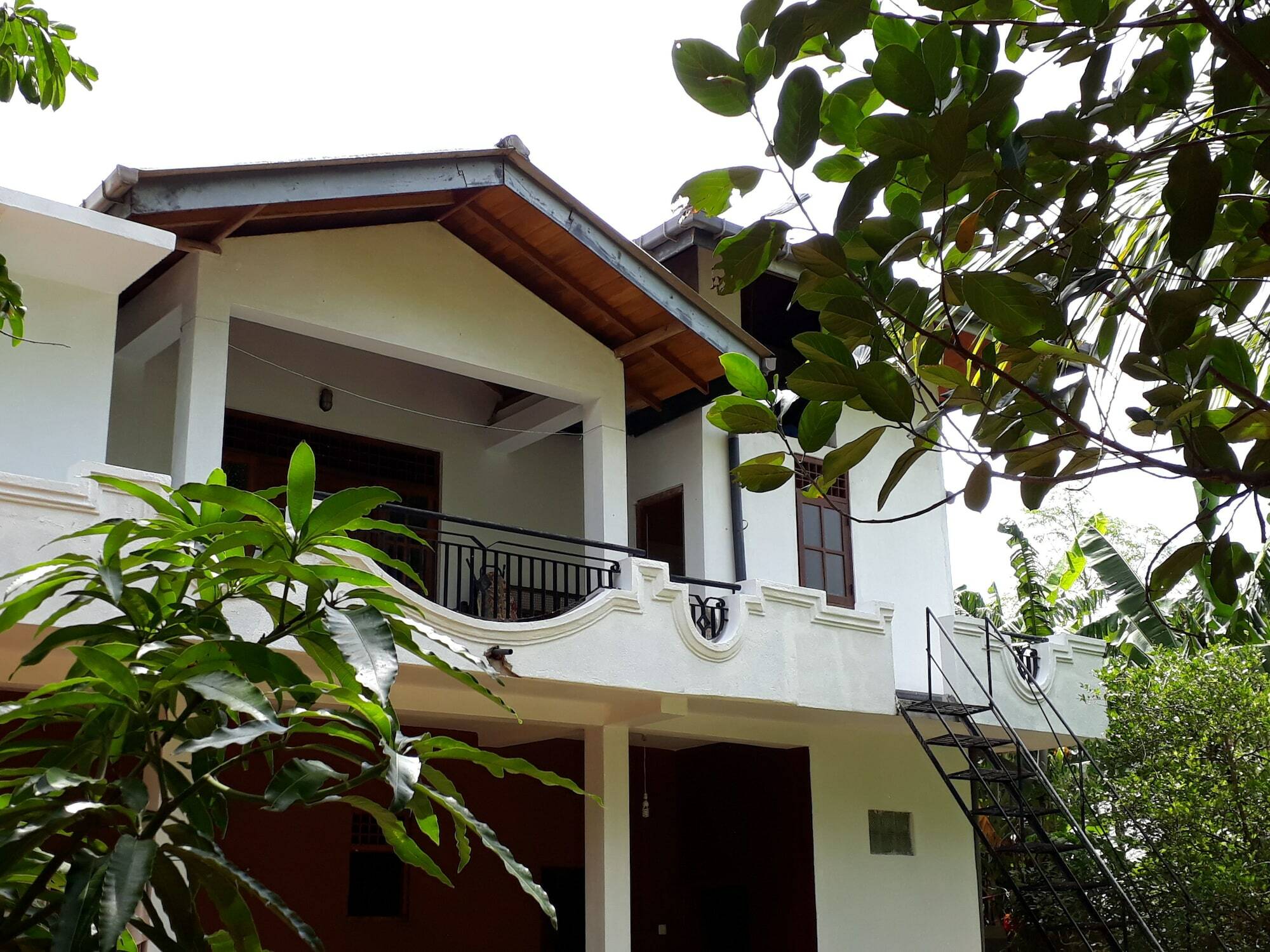 Green Villa Anuradhápura Exteriér fotografie